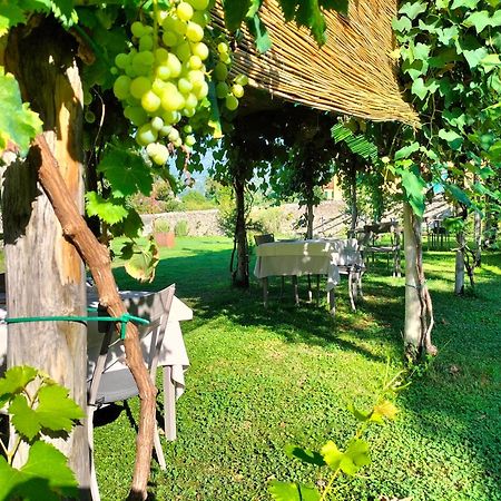 Badia Giulia Prestigious Historical B&B Camaiore Exterior foto